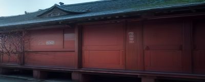 91久久内容分类频道页面，展示多个内容类别标签与高清缩略图列表
